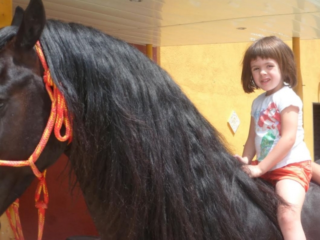  Walking with the horse 